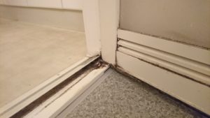 カビ対策 どうしてますか 住宅リフォーム 太陽光発電の株式会社シマジュー カビ対策 どうしてますか 住宅リフォーム 太陽光発電の株式会社シマジュー