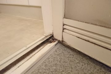 カビ対策、どうしてますか?