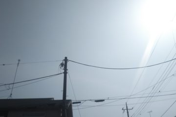 【太陽光の真実】1週間分の太陽光発電量をまとめてみました。2018年4月2日㈪~4月8日㈰