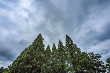 太陽光発電 曇りや雨の日での発電量、気になりませんか?