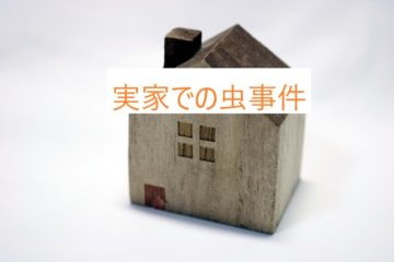 実家での虫事件