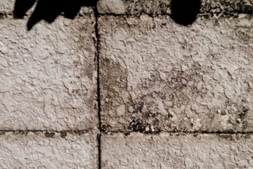 「外壁にカビが…」放置してしまうと大変なことに?!プロが解説します!