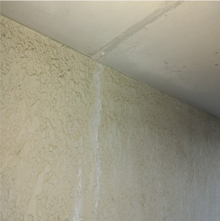 屋根葺き替え工事(ヴィクセンブルージュ)・外壁塗装工事 (ゼニスPL-02)、波板交換工事